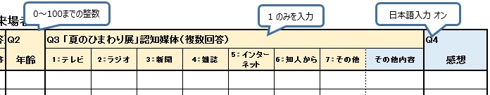 入力制限と書式設定